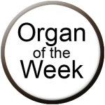Allen Organs Organ of the Week